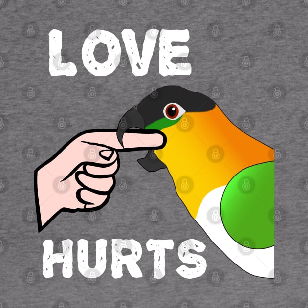 Black Headed Caique Parrot - Love Hurts Biting by Einstein Parrot